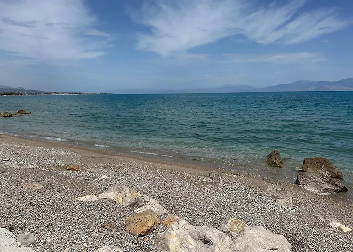 Amorosa * Врахати